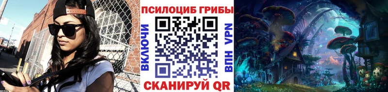 Псилоцибиновые грибы Psilocybe  Заволжск 